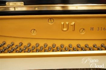U1H